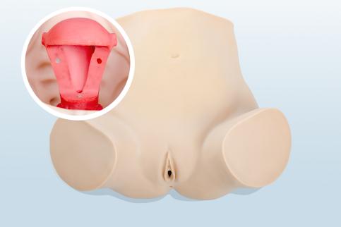 婦科上環(huán)、取環(huán)訓練模型